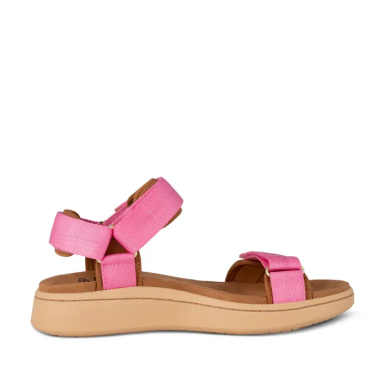 Line Sandal - Aurora Pink