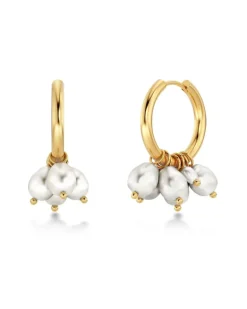 Pearl Signet Hoops Gold