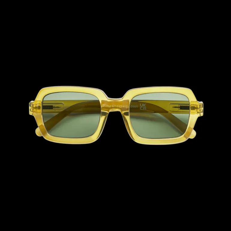 Square Sun Readers - Moss