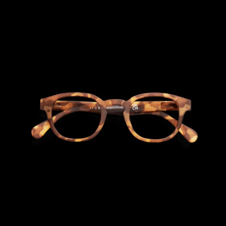 Type C Readers - Tortoise