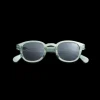 Type C Sun Readers - Grass